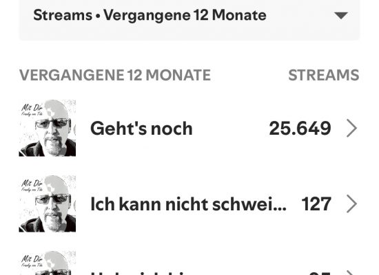 Die Top 5 von 2024 auf Spotify
